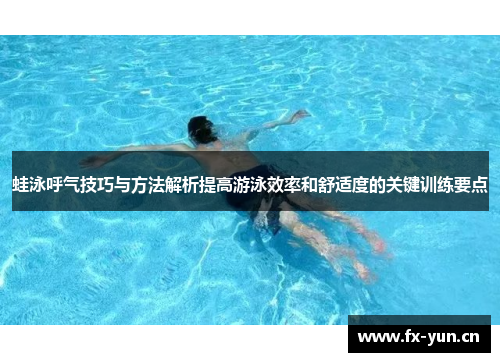 蛙泳呼气技巧与方法解析提高游泳效率和舒适度的关键训练要点
