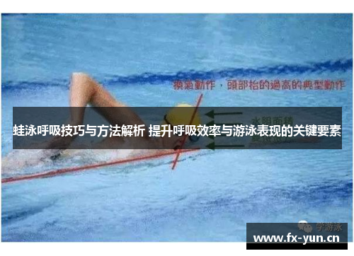 蛙泳呼吸技巧与方法解析 提升呼吸效率与游泳表现的关键要素