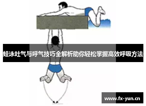 蛙泳吐气与呼气技巧全解析助你轻松掌握高效呼吸方法