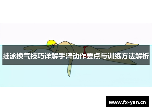 蛙泳换气技巧详解手臂动作要点与训练方法解析